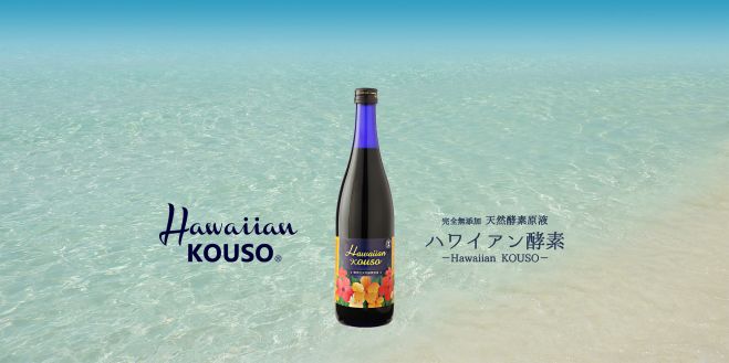 ハワイアン酵素販売店説明会