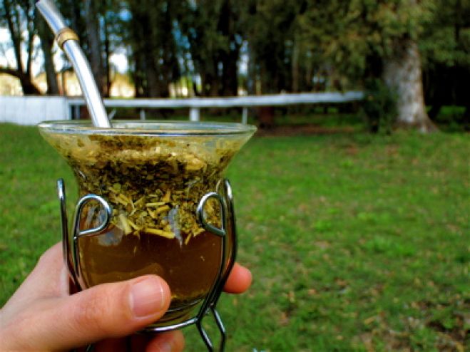 第4回 本場のマテ茶の飲み方を体験してみよう!の回