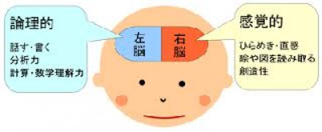 脳が喜ぶ速読体験会