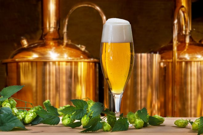 【7月特別企画】サントリーのビール工場で婚活パーティー♡ in 府中 【30代・40代限定】