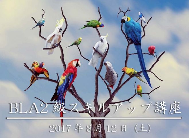 バードライフ・アドバイザー2級スキルアップ講座(東京)