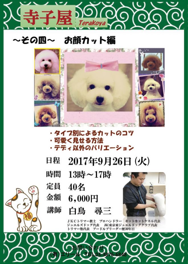 トリマーさんの為の寺子屋 その四 『お顔カット編』