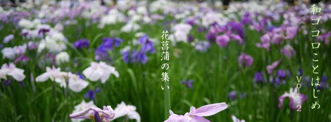 和ゴコロことはじめ vol.2 ~花菖蒲の集い~