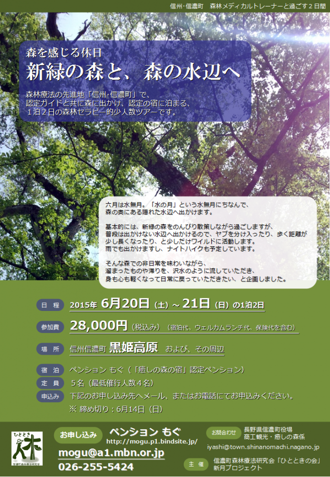 森を感じる休日 『新緑の森と、森の水辺へ』