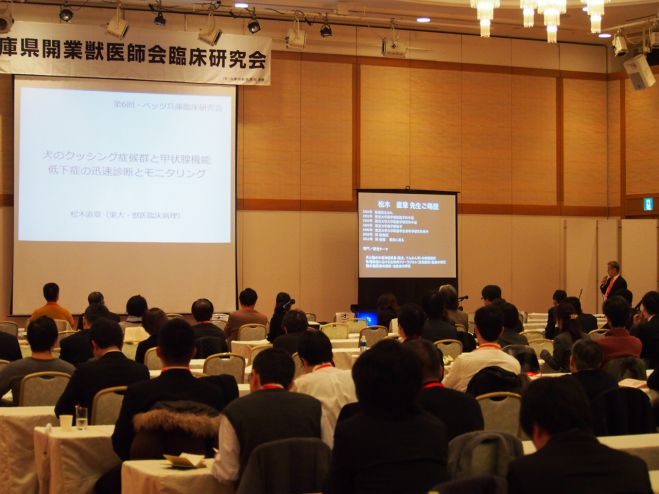 第8回兵庫県開業獣医師会(ベッツ兵庫)臨床研究会