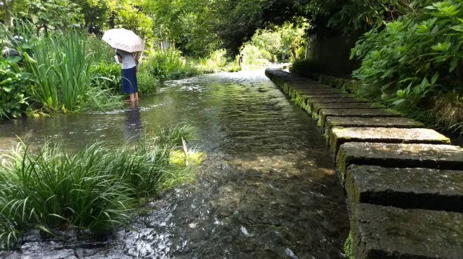 10月28日(土) サピア in 三島(静岡)