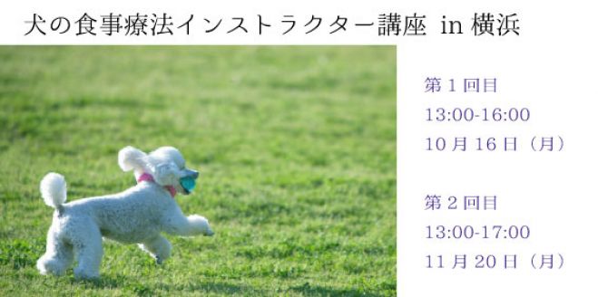 犬の食事療法インストラクター講座in横浜(全2回)