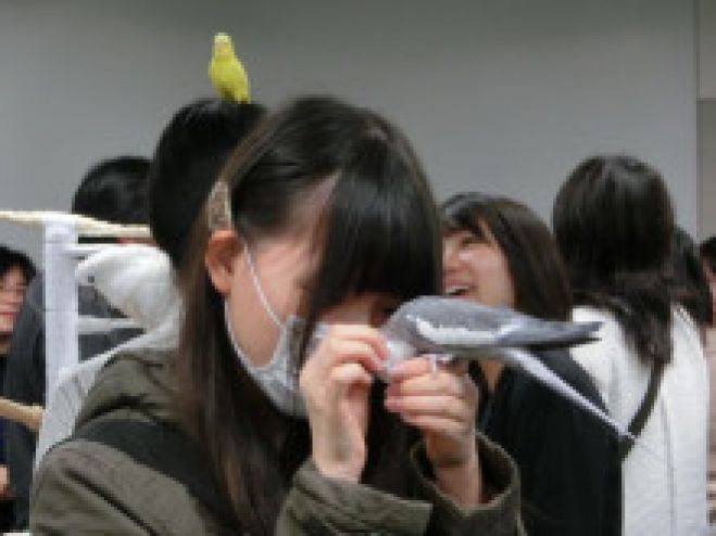 絆祭:出張バードランと島森先生・鳥爺のBird Talkショー