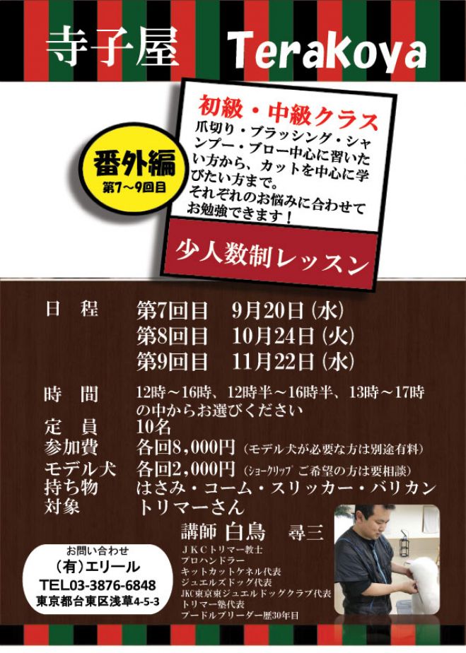 トリマーさんの為の寺子屋 番外編 第9回目