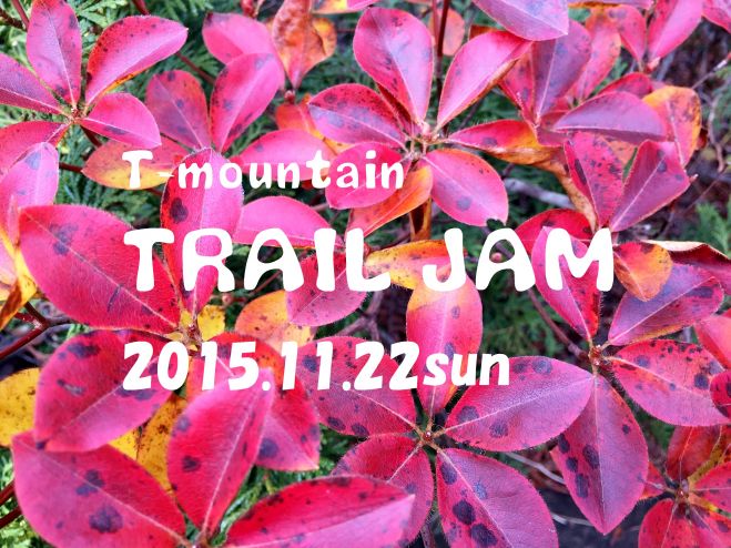T-mountain TRAIL JAM 2015.11.22sun