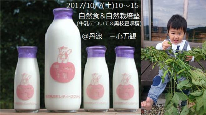 10/7(土)牛乳の話と日本で唯一の無殺菌牛乳の試飲と無農薬無肥料の黒枝豆の収穫(第6回自然食&自然栽培塾)@丹波、三心五観