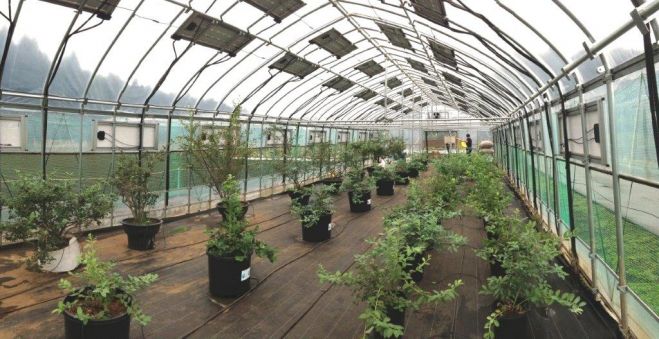 電気の自家消費がカギとなる新しい農業のカタチ