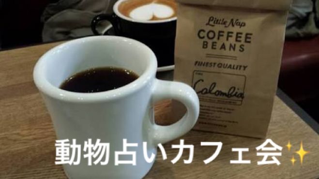 『動物占いカフェ会』あなたの本質が学べるゆるカフェ会✨