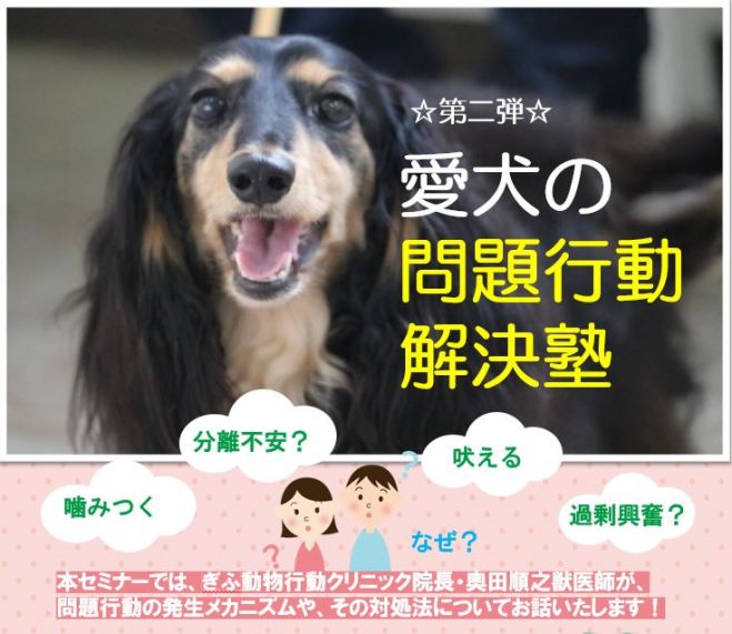 愛犬の問題行動解決塾