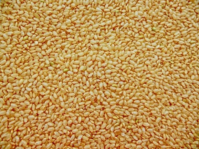 人生を決める食の秘密!! 食養「陰陽原理」講座