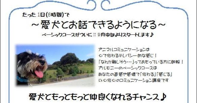 たった1日で~愛犬とお話できるようになる~講座