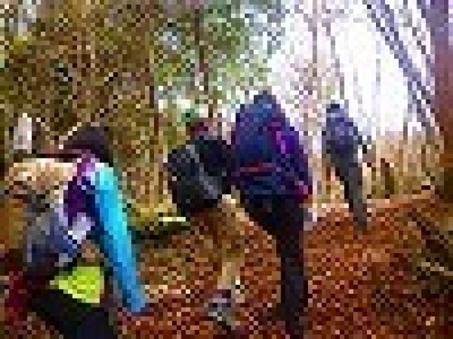 【週末自然体験 紅葉トレッキング】社会人&学生サークルFEAD