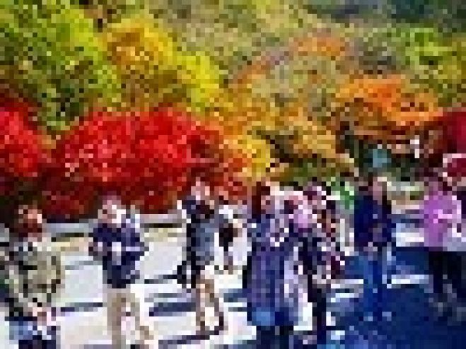 【週末自然体験 紅葉トレッキング】社会人&学生サークルFEAD