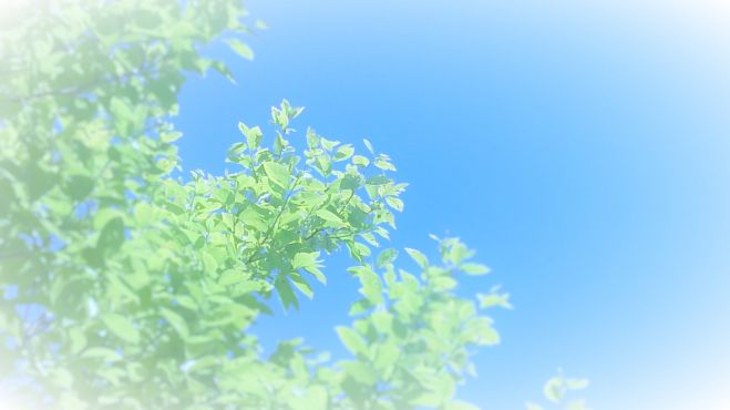 東北行きアロマスプレー講座