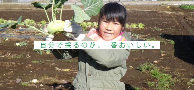 冬野菜収穫と調理体験