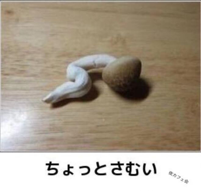 夜カフェ(Placer企画)