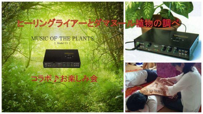 ヒーリングライアーとダマヌール植物の調べ コラボお楽しみ会