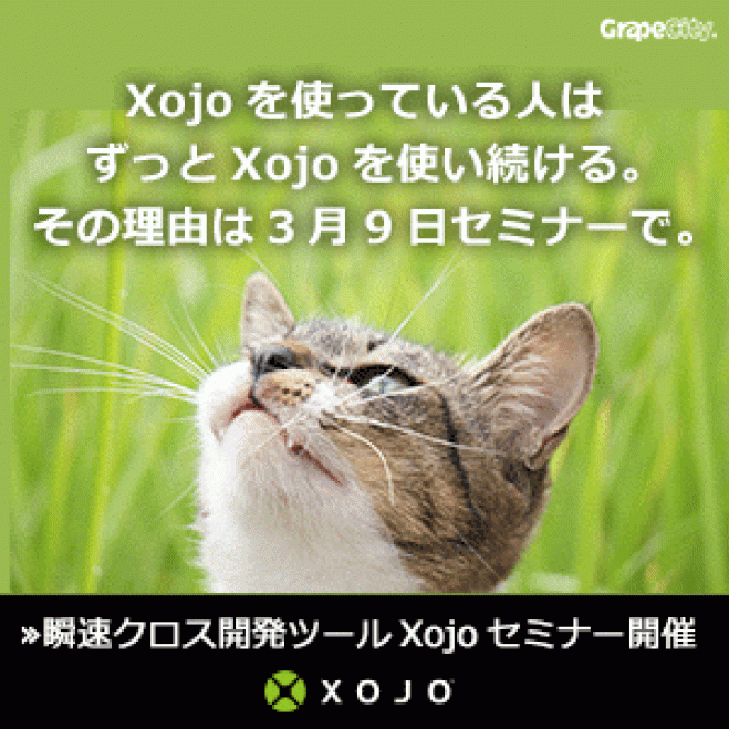 Xojo の基本から実践まで学べるセミナー