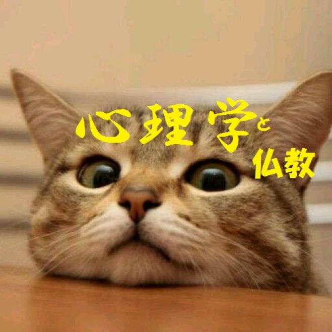 【京都】心理学と東洋哲学 2/3(水)