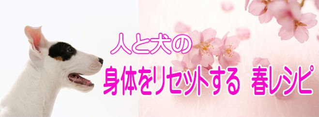 人と犬の「身体をリセットする 春レシピ」