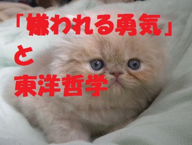心理学と東洋哲学@グランフロント大阪 2/20(土)