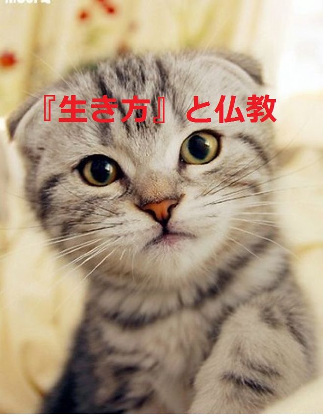 【生き方】と仏教 2/21(日)
