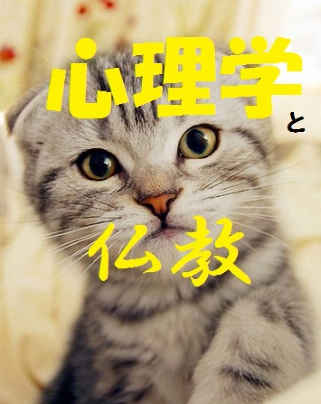 【京都】心理学と東洋哲学 2/26(金)