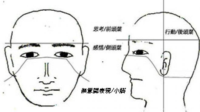 パーソノロジー(人相科学)個性学 大阪