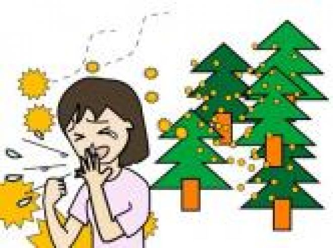 花粉症の完全な解消法が学べる講習会