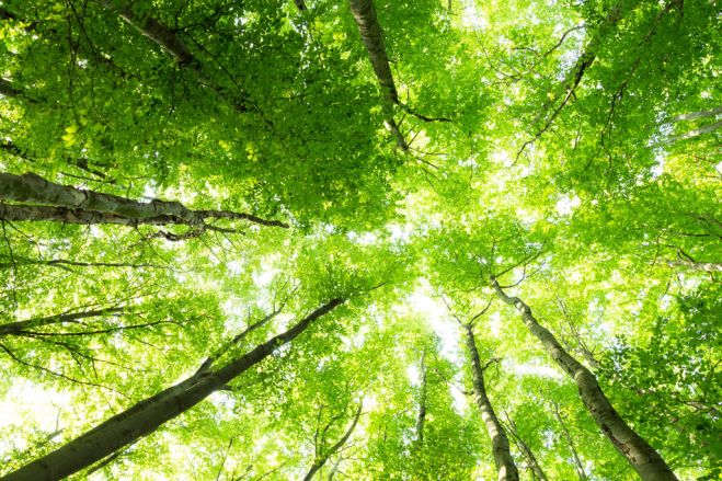 自然素材リフォームを薦める本当の理由