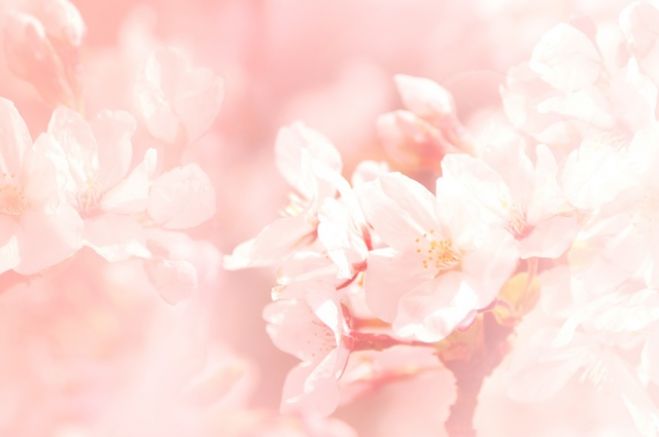 オトナの部活 spring会