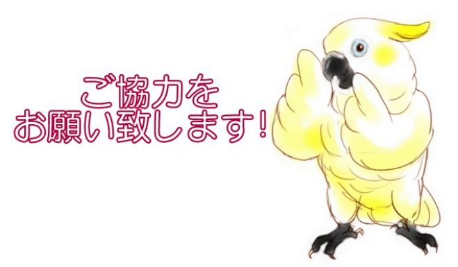 オリジナルステンレスケージ制作のアンケートのお願い
