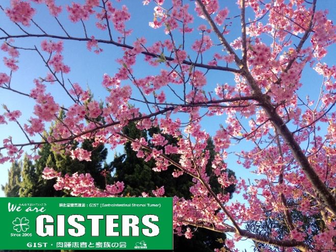 臨時 GISTERS.net