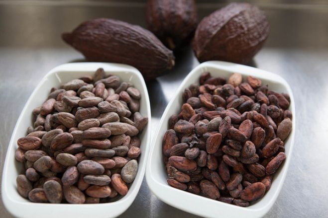「Bean to Barチョコレートをカカオ豆から作ろう!」ワークショップ