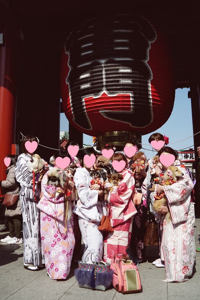 【第2回 わんこと一緒にお着物イベントin浅草】☆定員15名☆