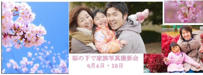 桜の下で家族写真撮影会 4月