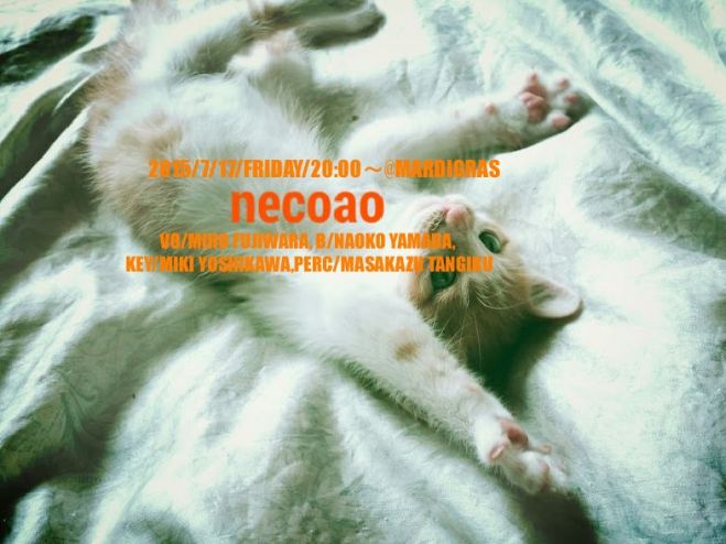 NecoaoネコアオLive in Mardigras