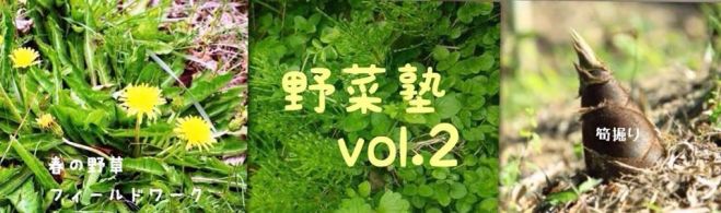 野菜塾vol.2〜春の野草フィールドワーク&筍掘りと野草料理を愉しむ会〜