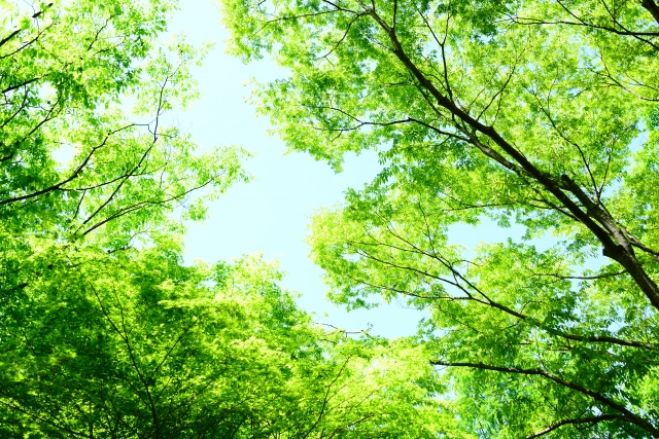 がんにならないための、今すぐできる幸せごはん