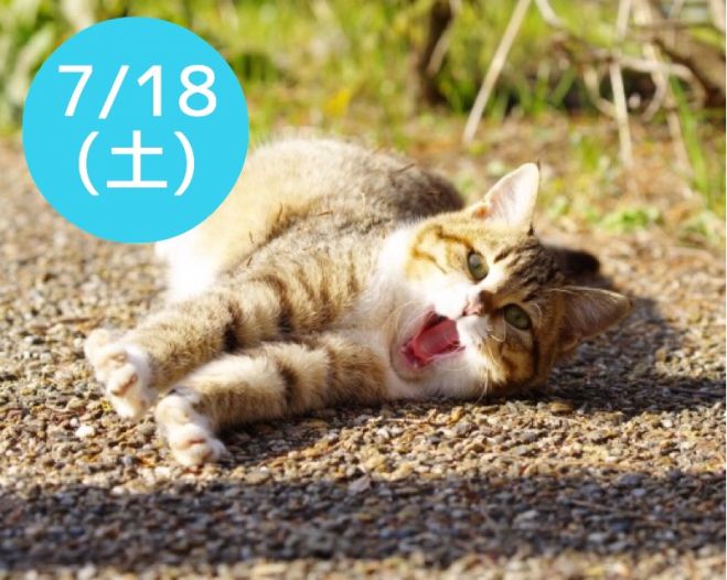 7/18(土)のんびり簡単ストレッチ【あくび体操】 東京