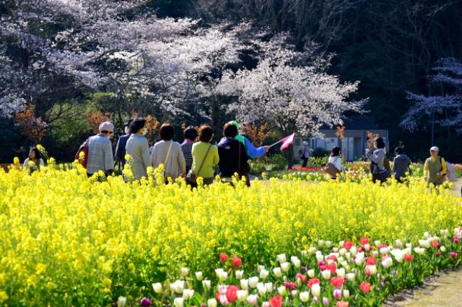 開運ウォーキング in 春の小江戸 川越パワスポ
