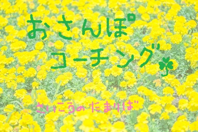【先着4名さま限定】お散歩コーチング♪