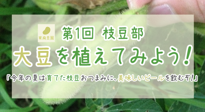 【第1回 岡山枝豆部】大豆を植えてみよう!