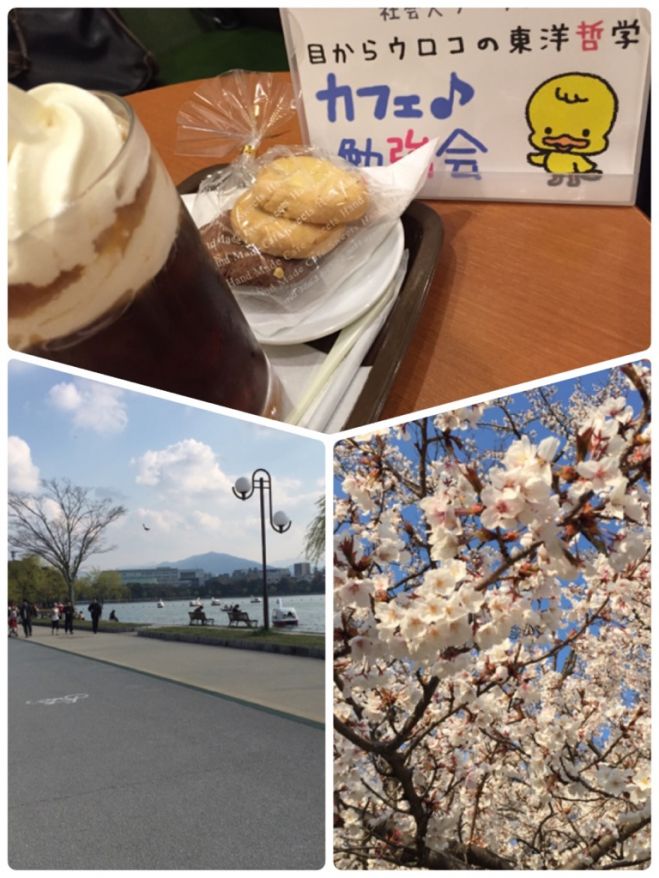 ★@大濠公園★桜まつりウォーキング&カフェ勉強会