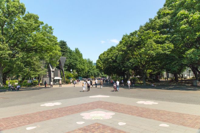 【婚活】春の美術館めぐり(アート見学しながら交流を楽しもう!) ― 上野恩賜公園―